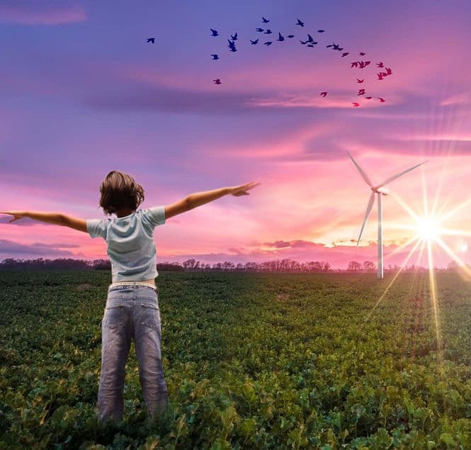 Corporate Sustainability